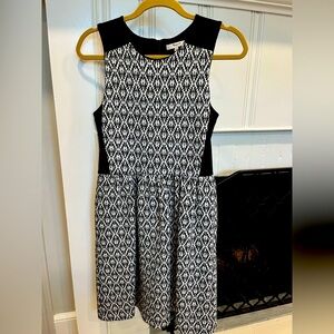 Madewell Black and White A-Line Mini Dress